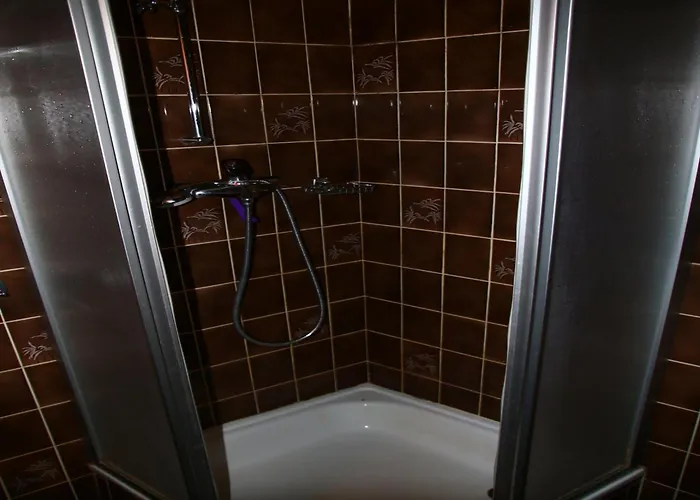 公寓 Family With Terrace 维松纳